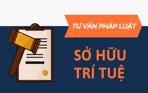 TƯ VẤN PHÁP LUẬT VỀ SỞ HỮU TRÍ TUỆ